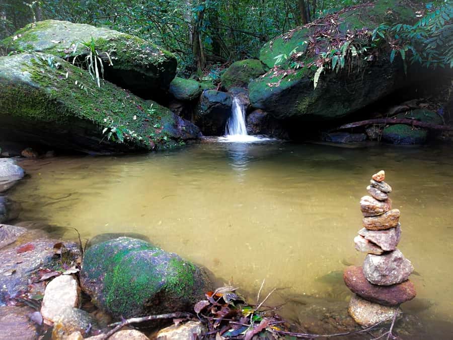 Rio de Janeiro: Tijuca Forest Waterfall of Souls Hike - Who should book this experience