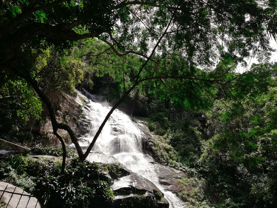 Rio de Janeiro: Tijuca Forest Waterfall of Souls Hike - Taunay Waterfall and the wider Tijuca route