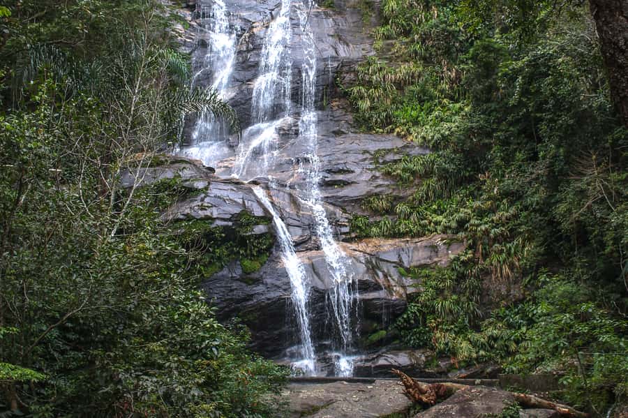 Rio de Janeiro: Tijuca Forest Waterfall of Souls Hike - Meeting at Alto da Boa Vista