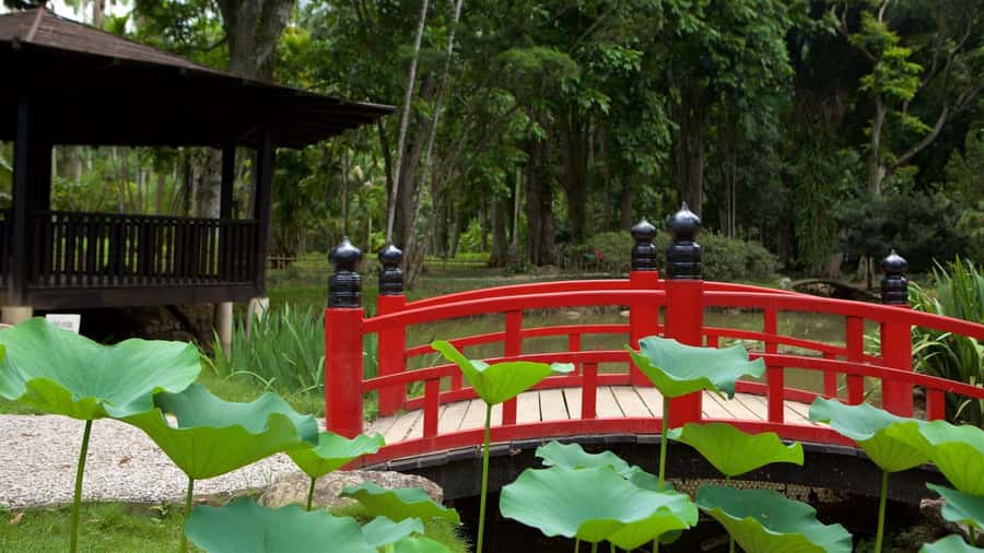 Rio de Janeiro: Tijuca National Park & Botanic Garden Tour - Hotel pickup, guides, and the four-hour pace