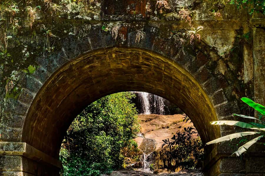 Rio de Janeiro: Tijuca National Park & Botanic Garden Tour - Accessibility and what to bring