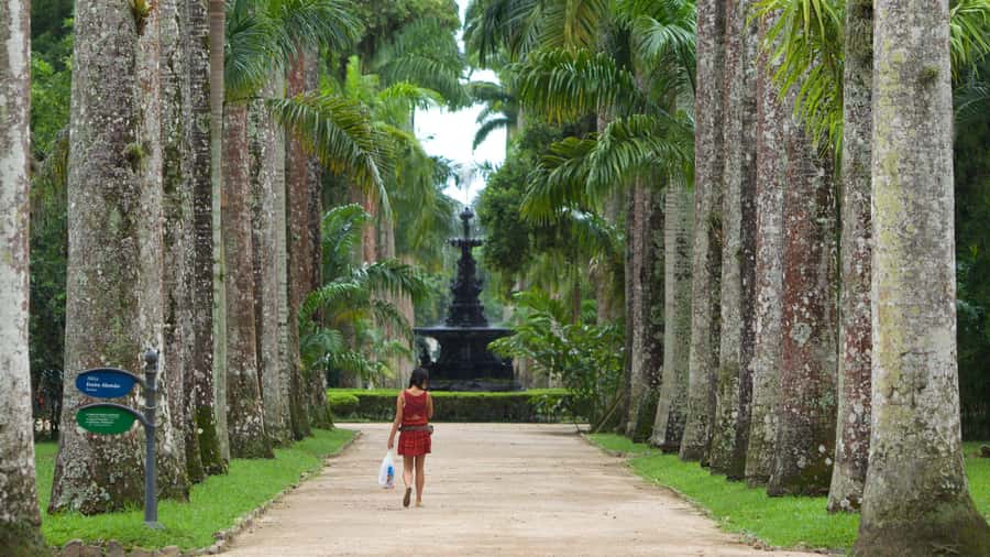 Rio de Janeiro: Tijuca National Park & Botanic Garden Tour - Is $65 a fair price?