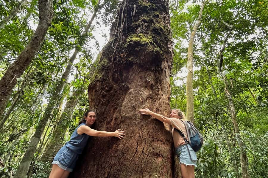 Rio de Janeiro: Tijuca National Park Tour - The Visitor Center and Tijuca’s Human Story