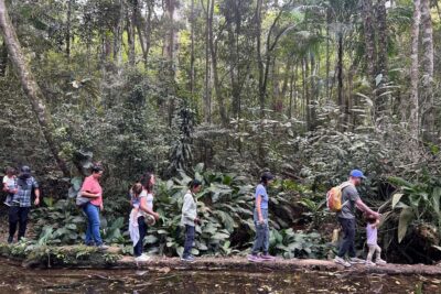 Tijuca National Park Tour