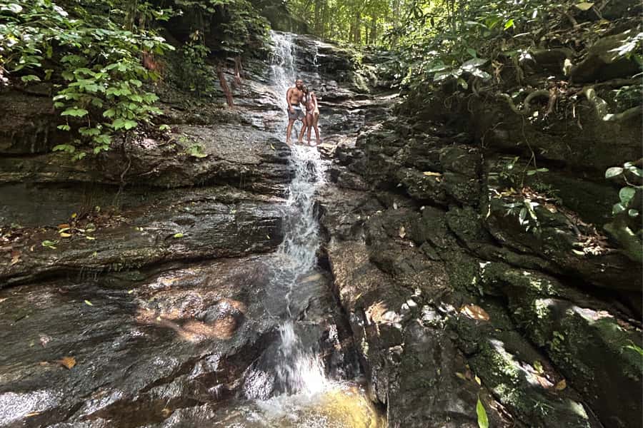 Rio de Janeiro: Tijuca National Park Tour - A Floresta and Other Waterfalls