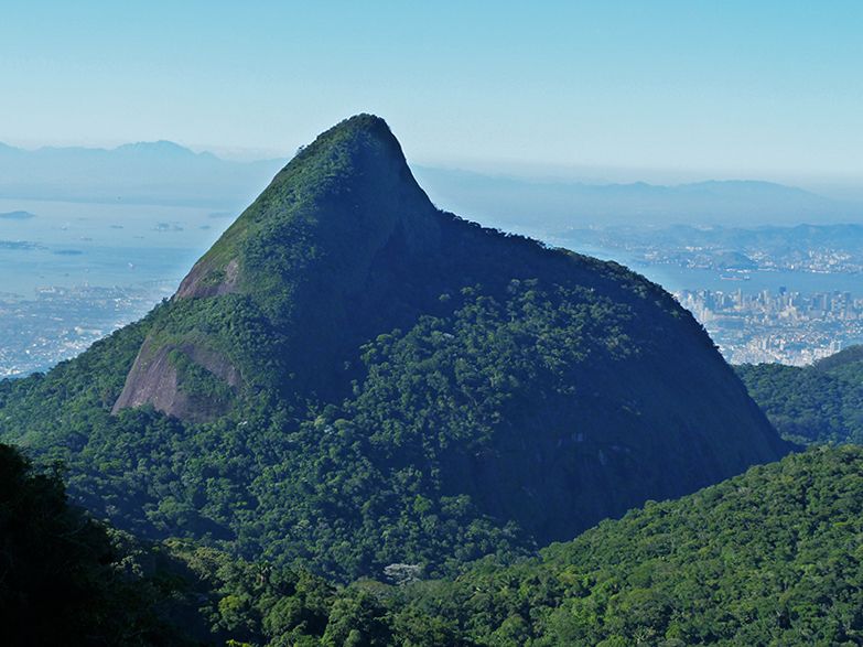 Rio de Janeiro: Tijuca Peak Guided Hike - Why Pico da Tijuca makes a good Rio day out