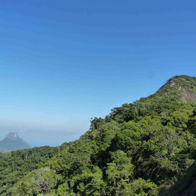 Rio de Janeiro: Tijuca Peak Guided Hike - Climbing toward the 1,021-meter summit