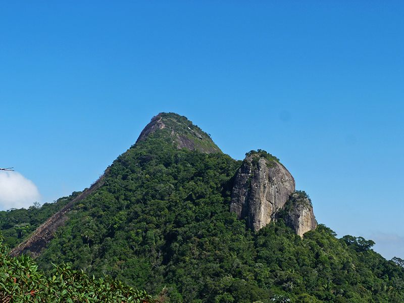 Rio de Janeiro: Tijuca Peak Guided Hike - What the $56 price really covers
