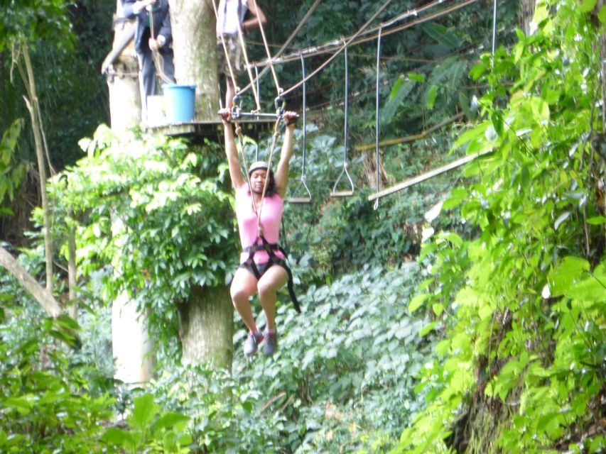 Rio de Janeiro: Zip Lining and Canopy Tree Tour - Should you book the Rio canopy tour?