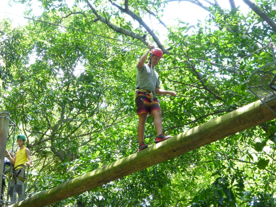 Rio de Janeiro: Zip Lining and Canopy Tree Tour - Canopy platforms and the half-hour zipline