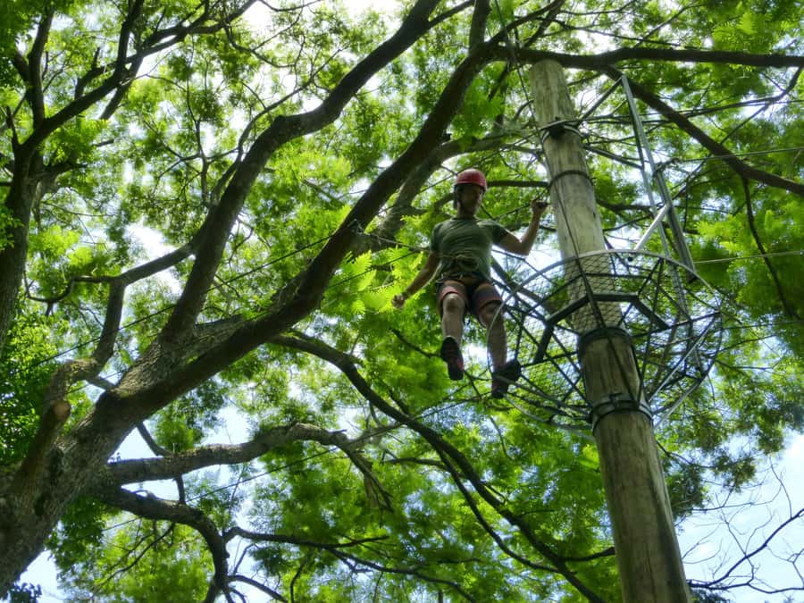Rio de Janeiro: Zip Lining and Canopy Tree Tour - Who will enjoy this Catacumba outing