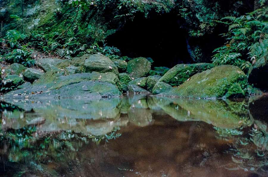 Rio: Half-Day Jeep Tour at Floresta da Tijuca - Capela Mayrink and a glimpse of old Tijuca