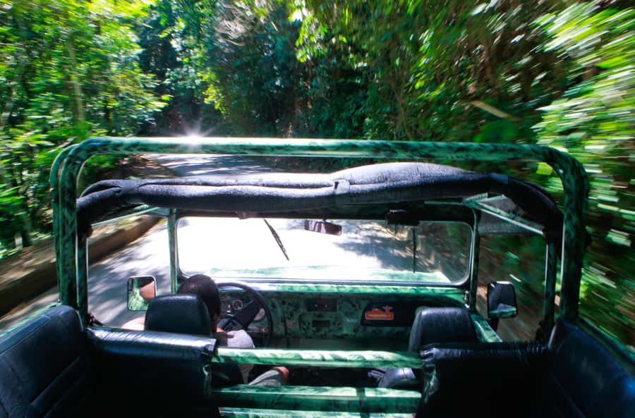 Rio: Half-Day Jeep Tour at Floresta da Tijuca - Two short walks through Atlantic forest