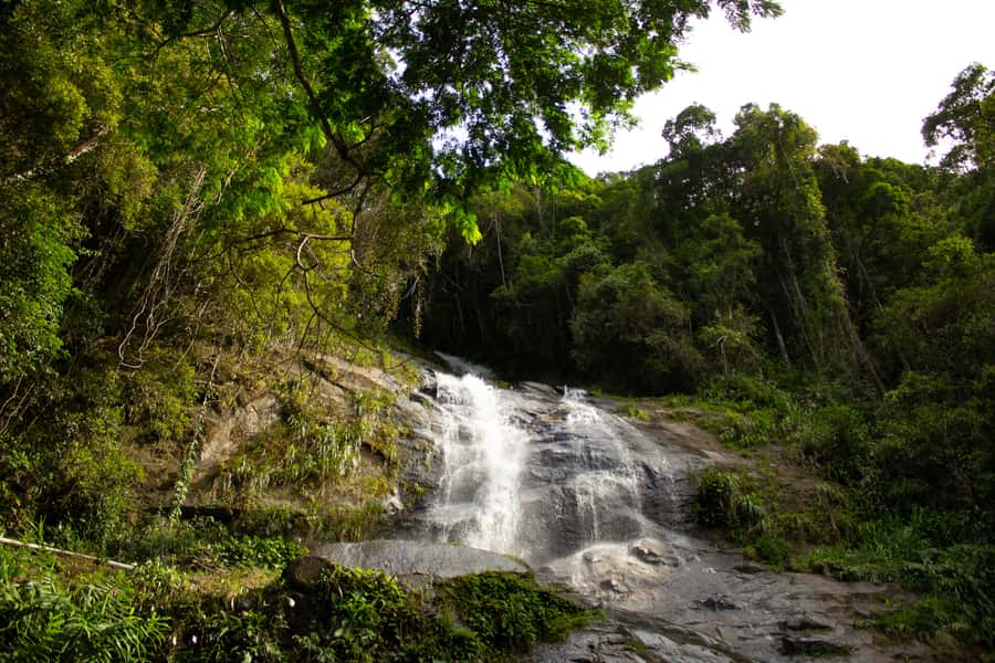 Rio: Half-Day Jeep Tour at Floresta da Tijuca - São Conrado and the final open-air ride