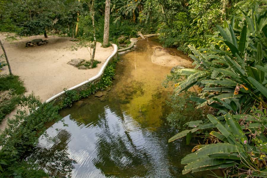 Rio: Half-Day Jeep Tour at Floresta da Tijuca - What to bring and how to dress