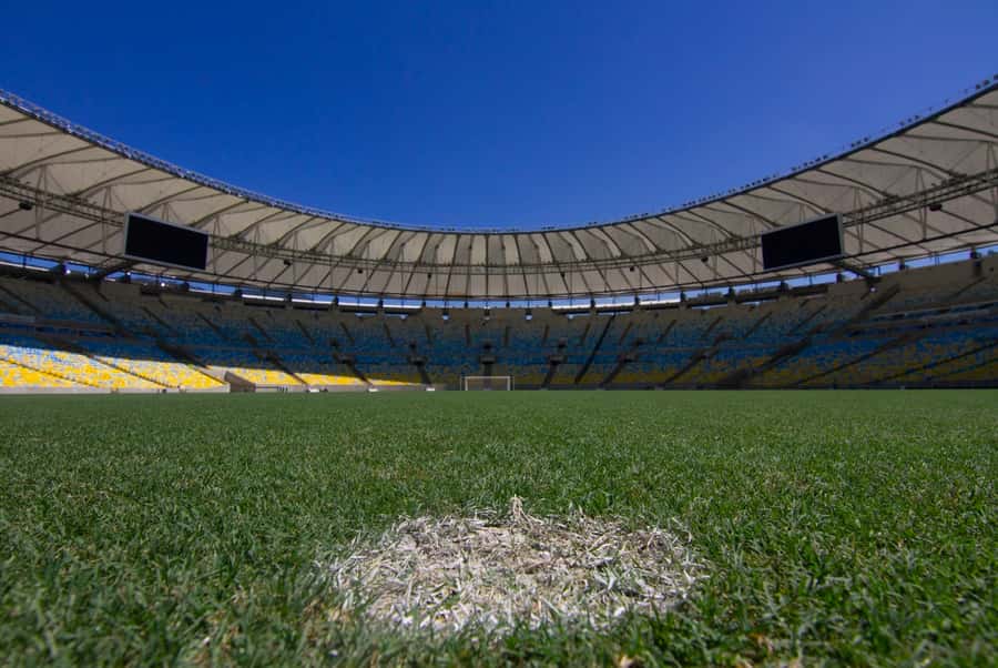 Rio: Maracanã Stadium Official Entrance Ticket - The route through the stadium