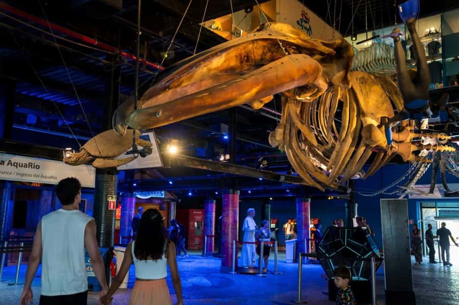 Rio: Olympic Boulevard, AquaRio and Museum of Tomorrow Tour - My booking advice