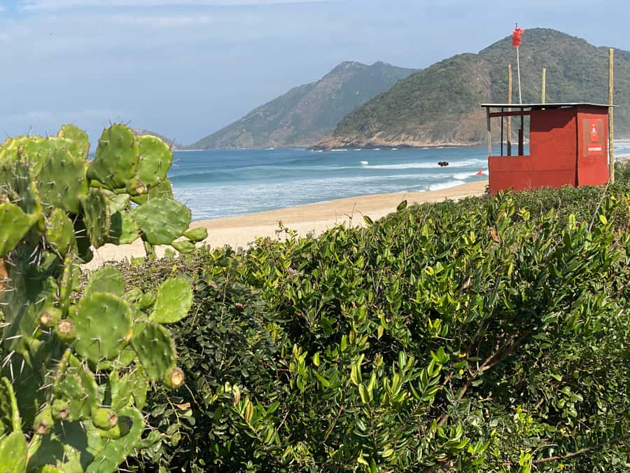 Rio: Pedra do Telégrafo Hiking & Relax in a Wild Beach - The coastal route through Barra and São Conrado
