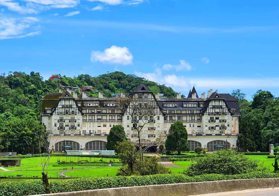 Rio: Petrópolis Trip with Palace, Imperial Museum & Brewery - Guides, language, and group logistics