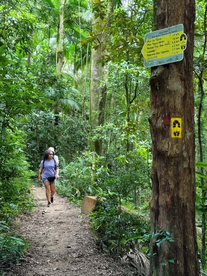 Rio: Private Tour 5 Hours Customized Tour With a Local Guide - Transport, timing, and what the $109 price means