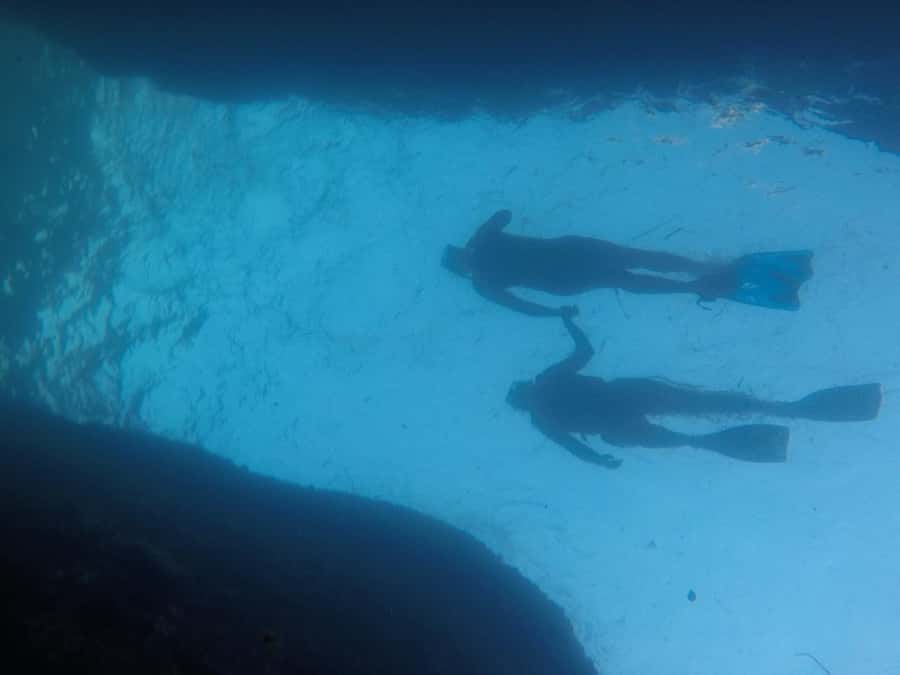 Rio: Snorkel & Swim with Turtles Tour at Tijuca Islands - An hour of snorkeling around the islands