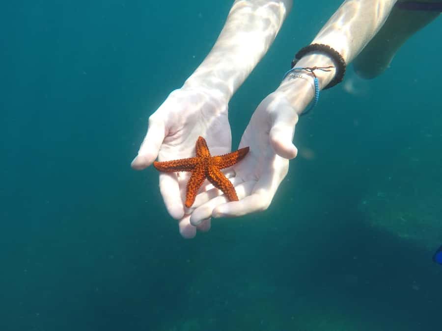 Rio: Snorkel & Swim with Turtles Tour at Tijuca Islands - The ride back to Barra