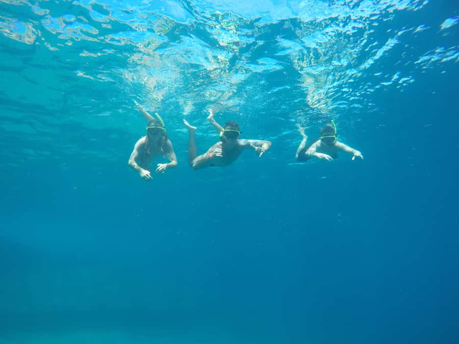 Rio: Snorkel & Swim with Turtles Tour at Tijuca Islands - The first 20 minutes on the speedboat