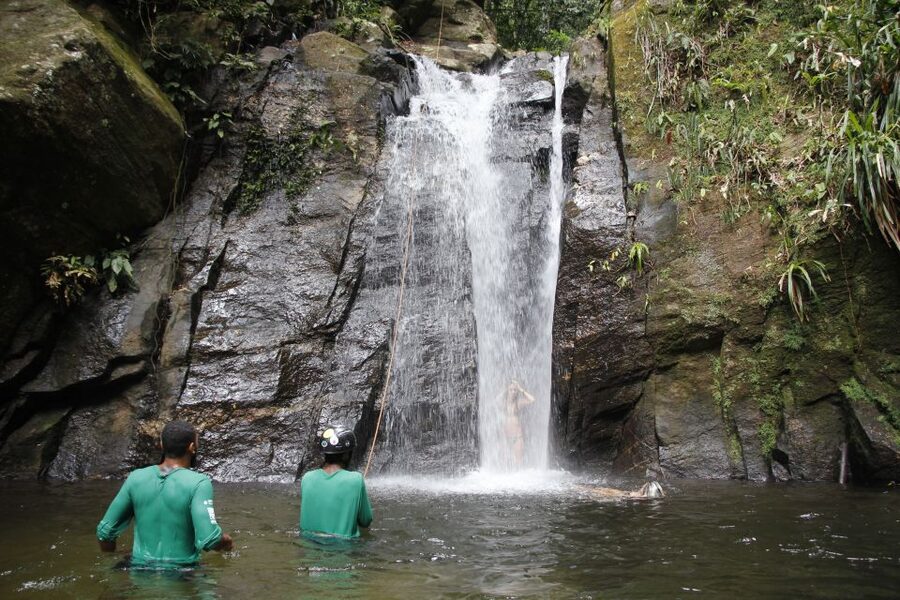 Rio: Tijuca Forest & Horto Waterfalls Circuit Tour - Reaching Jequitibá Waterfall