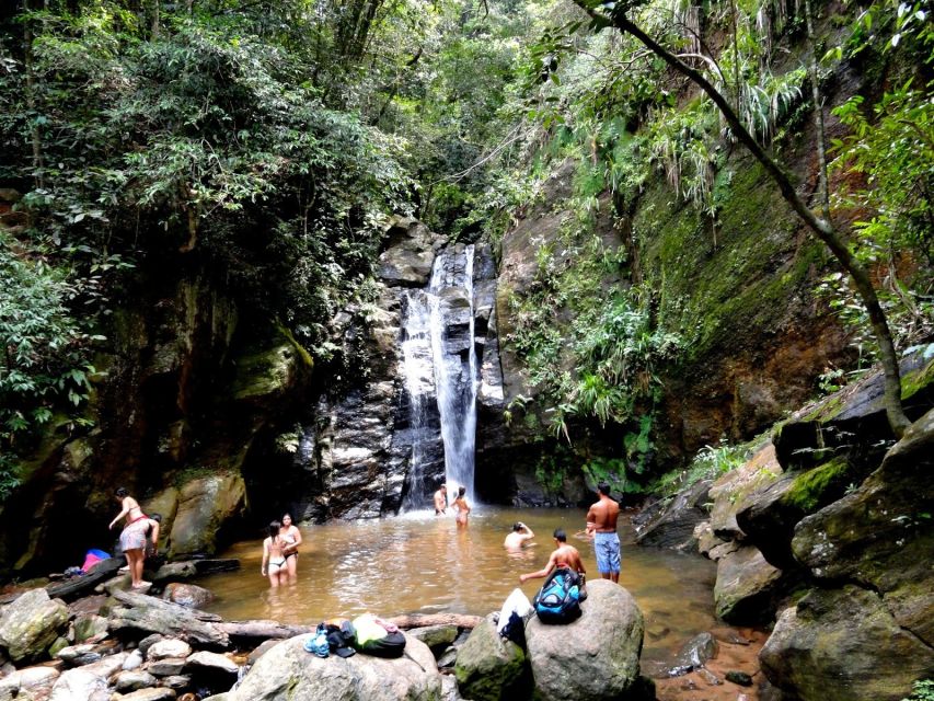 Rio: Tijuca Forest & Horto Waterfalls Circuit Tour - What the guides add to the walk