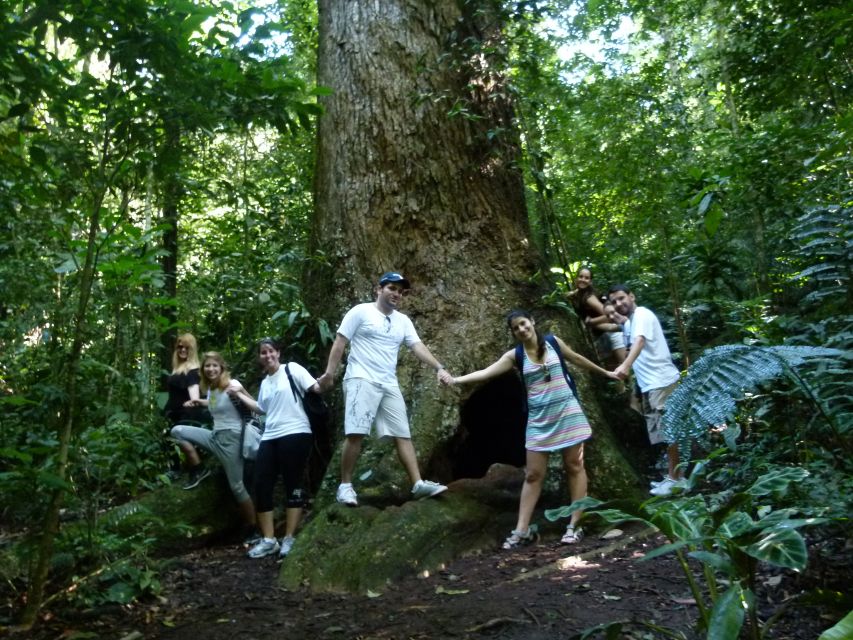 Rio: Tijuca Forest & Horto Waterfalls Circuit Tour - Who should book this experience?