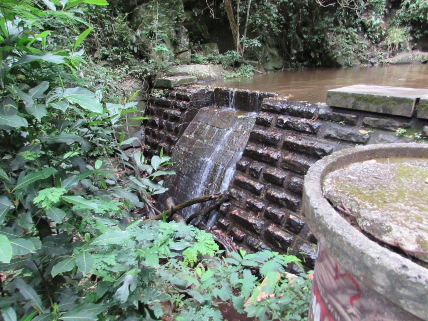 Rio: Tijuca Forest & Horto Waterfalls Circuit Tour - Starting at Rua Pacheco Leão