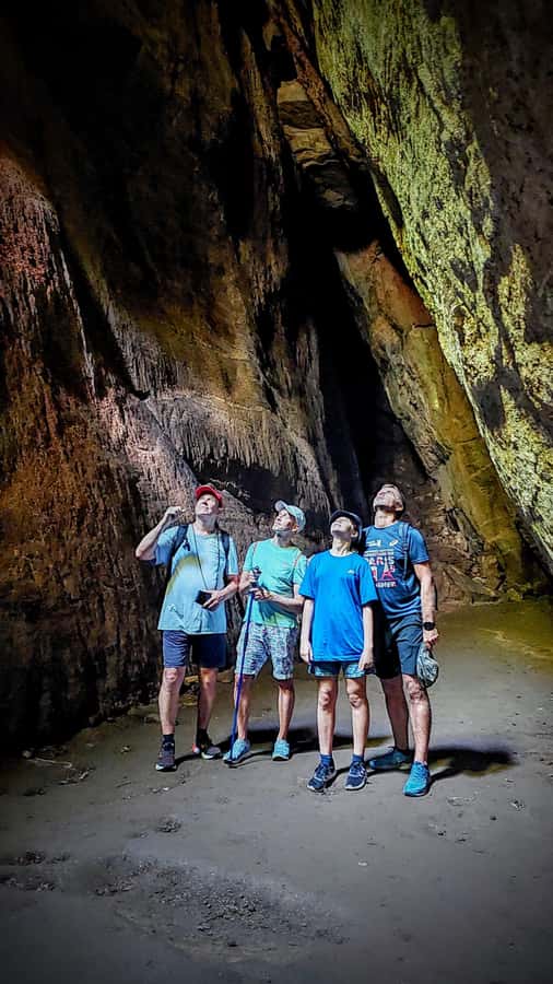 Rio: Tijuca Forest Small Group Hike to Caves and Waterfalls - Why Tijuca Forest makes a good Rio day out