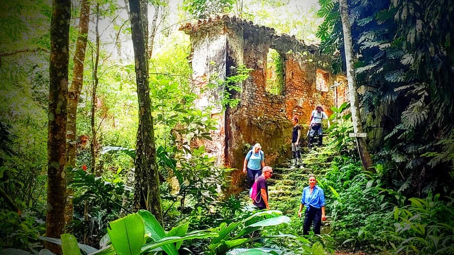 Rio: Tijuca Forest Small Group Hike to Caves and Waterfalls - Mayrink Chapel and old plantation trails
