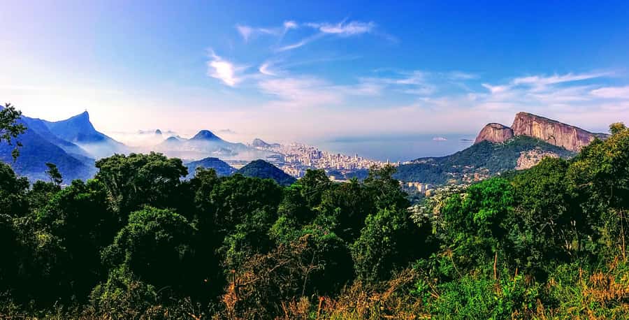 Rio: Tijuca National Park Small-Group Hike to Pedra Bonita - Who should book this hike
