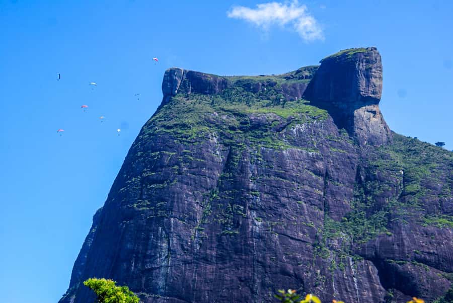 Rocinha Jeep Tour: A Journey into the Soul of the Favela! - Is $86 a fair price?