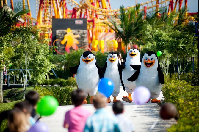 Round Trip Beto Carrero World from Balneario Camboriu - Shows, Rides, and the Zoo in One Day