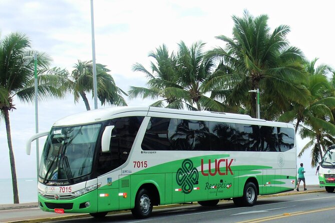 Round trip transfer between Airport and Hotels in Maceió - Why an airport transfer helps in Maceió