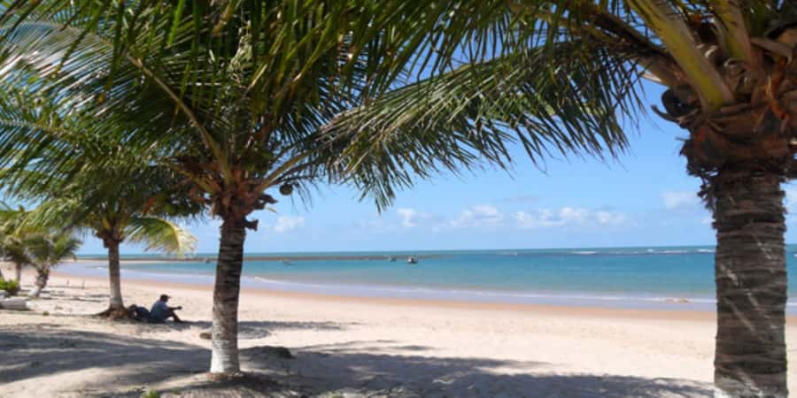 Salvador: Praia Do Forte and Guarajuba Beach Day Trip - Guides, languages, and the value of hotel pickup
