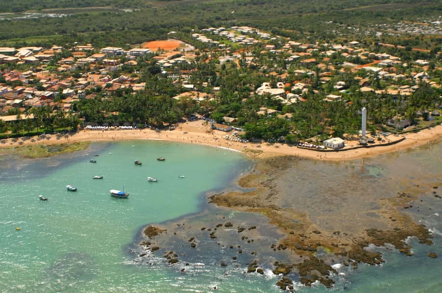 Salvador: Praia Do Forte and Guarajuba Beach Day Trip - Projeto Tamar and Bahia’s sea turtle work