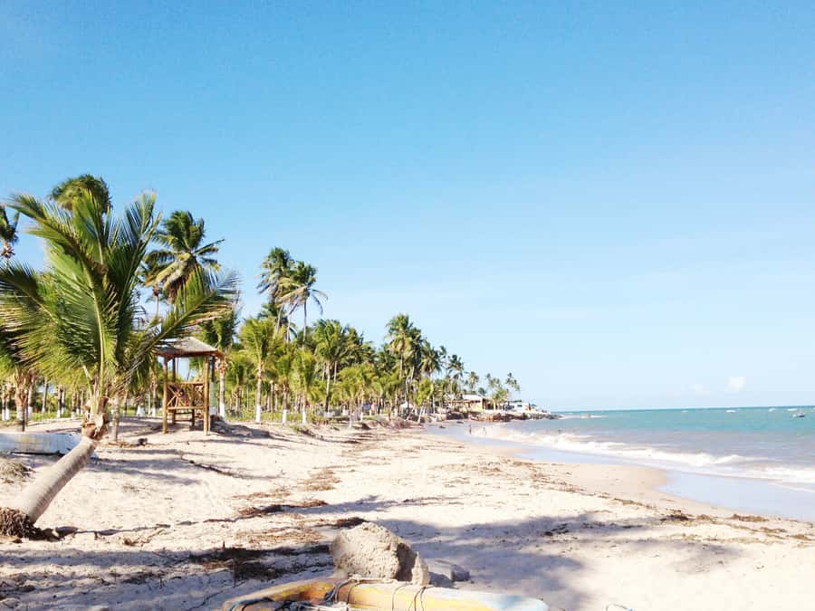 Salvador: Schooner Cruise with Pickup and Itaparica Stop - Sailing onward to Itaparica