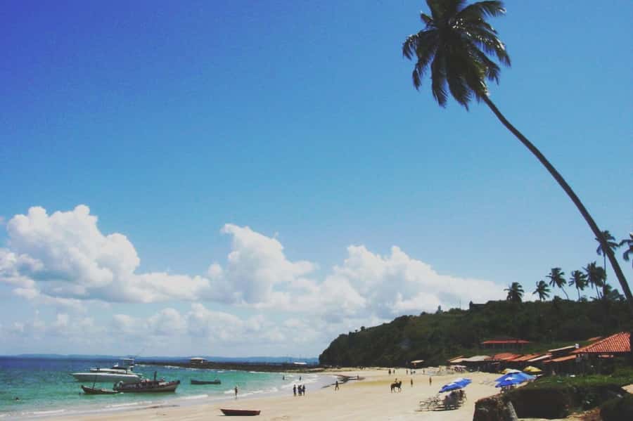 Salvador: Schooner Cruise with Pickup and Itaparica Stop - Who will enjoy this cruise most