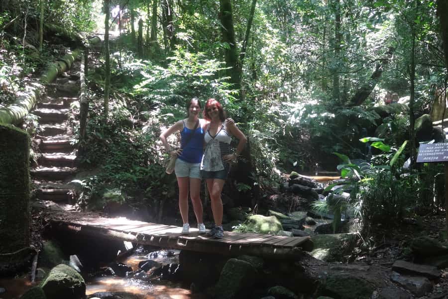 São Paulo: Cantareira Natural Park Guided Rainforest Hike - The old water system that served São Paulo