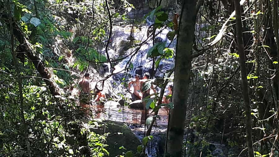 São Paulo: Cantareira Natural Park Guided Rainforest Hike - The strongest part of the experience