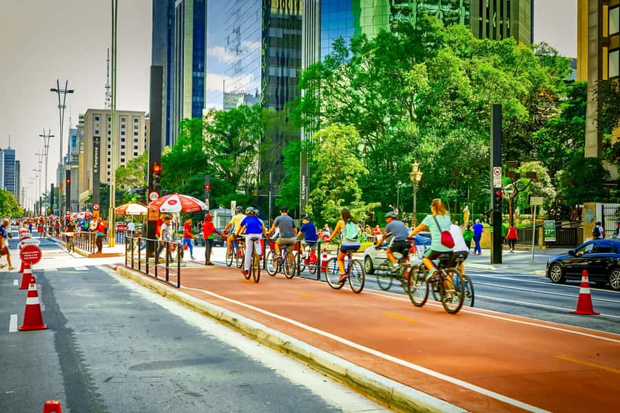 São Paulo City: 5-Hour Private Tour - Jardins and the final city sweep