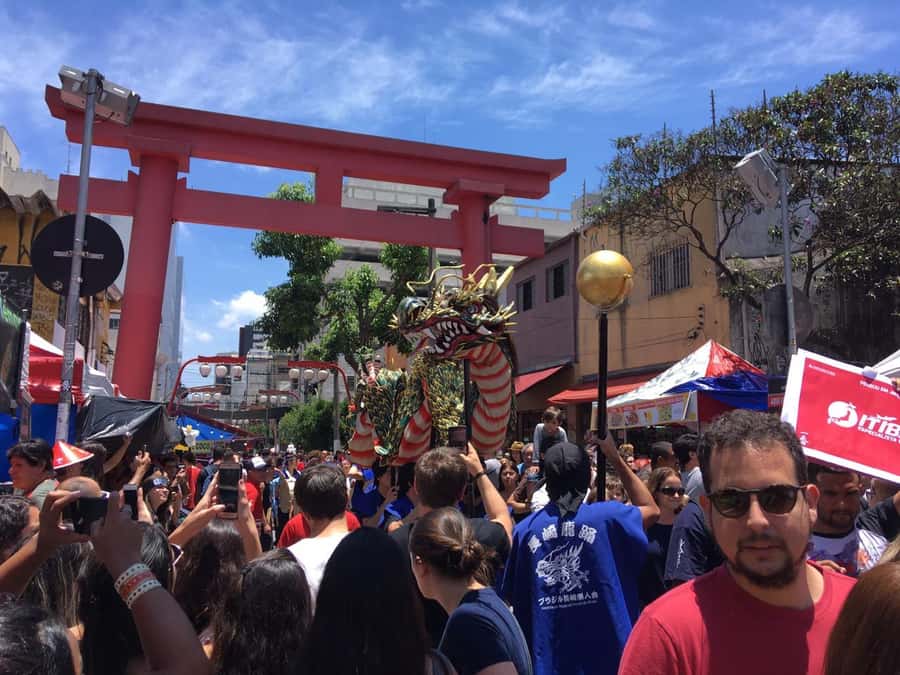 São Paulo: City Highlights Guided Tour - What the transport and timing mean