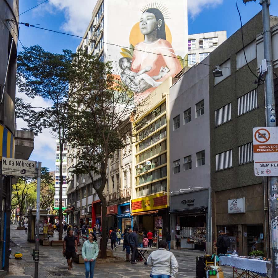 Sao Paulo: Downtown-Center Walking Tour | 2 Hours - English - Pateo do Collegio and São Paulo Cathedral