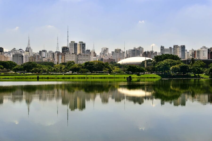 São Paulo: Full-Day Guided City Tour from the Port of Santos - Leaving Santos by way of the Serra do Mar