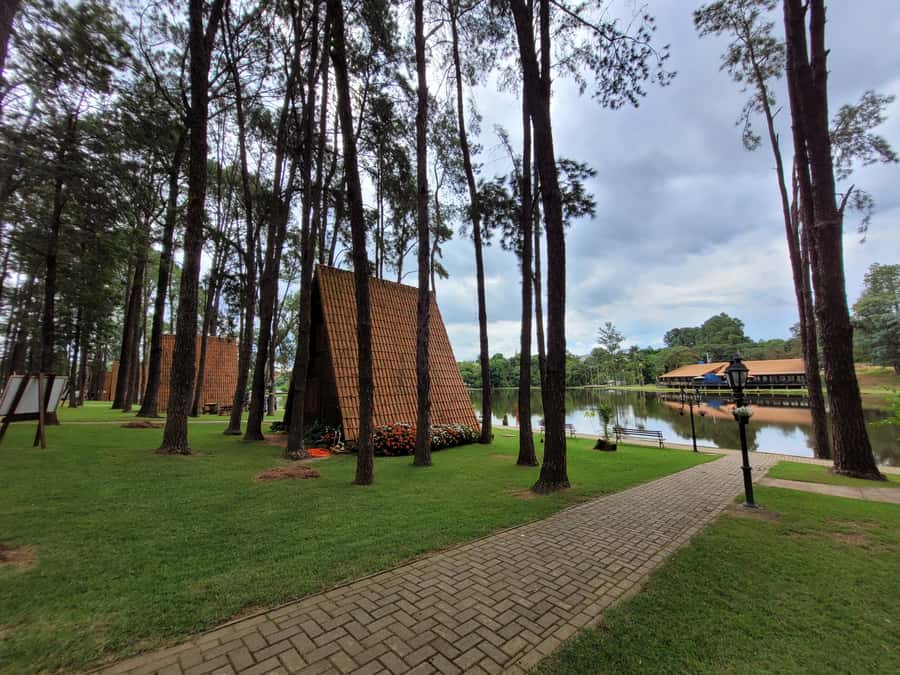 São Paulo: Holambra Colorful Flower Farm Guided Day Trip - Practical tips for a smoother day