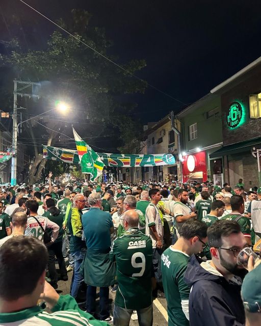 São Paulo: Join a Palmeiras Game Experience with a local - Is $141 a fair price?