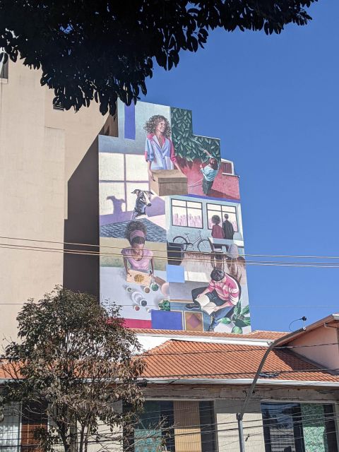 Sao Paulo, Pinheiros - Food & Graffiti Tour | in English - Practical details that matter on the day